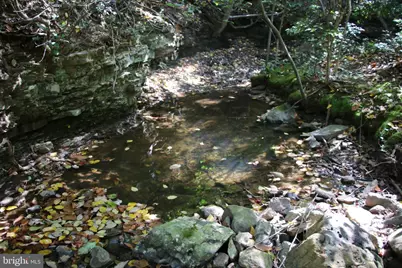 Fall Run Lane, Winchester, VA 22602 - Photo 4
