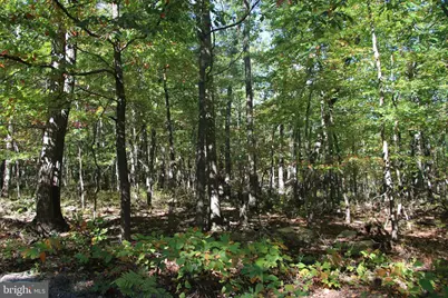 Fall Run Lane, Winchester, VA 22602 - Photo 26