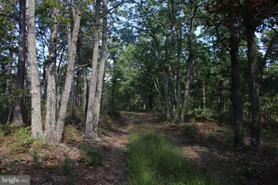 Fall Run Lane, Winchester, VA 22602 - Photo 8