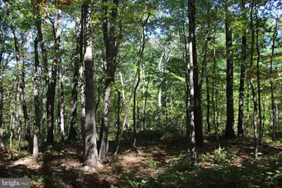 Fall Run Lane, Winchester, VA 22602 - Photo 14