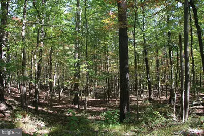 Fall Run Lane, Winchester, VA 22602 - Photo 28