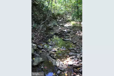 Fall Run Lane, Winchester, VA 22602 - Photo 12