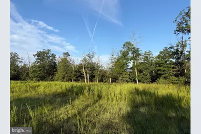 310.87+/- Acres Off Laurel Grove Road, Winchester, VA 22602 - Photo 84