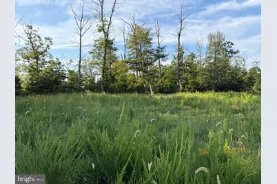 310.87+/- Acres Off Laurel Grove Road, Winchester, VA 22602 - Photo 82