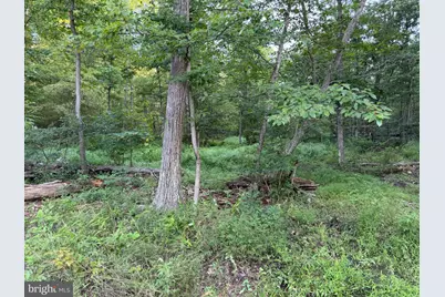 310.87+/- Acres Off Laurel Grove Road, Winchester, VA 22602 - Photo 32