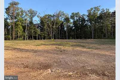 310.87+/- Acres Off Laurel Grove Road, Winchester, VA 22602 - Photo 36