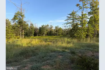 310.87+/- Acres Off Laurel Grove Road, Winchester, VA 22602 - Photo 20