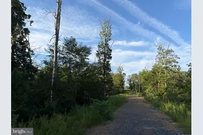 310.87+/- Acres Off Laurel Grove Road, Winchester, VA 22602 - Photo 72