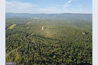 310.87+/- Acres Off Laurel Grove Road, Winchester, VA 22602 - Photo 2