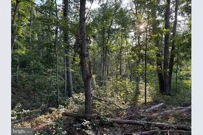 310.87+/- Acres Off Laurel Grove Road, Winchester, VA 22602 - Photo 50