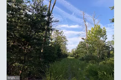 310.87+/- Acres Off Laurel Grove Road, Winchester, VA 22602 - Photo 80