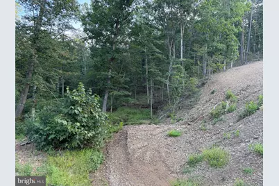 310.87+/- Acres Off Laurel Grove Road, Winchester, VA 22602 - Photo 30