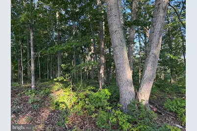 310.87+/- Acres Off Laurel Grove Road, Winchester, VA 22602 - Photo 76