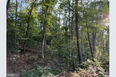 310.87+/- Acres Off Laurel Grove Road, Winchester, VA 22602 - Photo 52