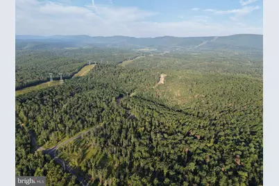 310.87+/- Acres Off Laurel Grove Road, Winchester, VA 22602 - Photo 4