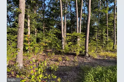 310.87+/- Acres Off Laurel Grove Road, Winchester, VA 22602 - Photo 40