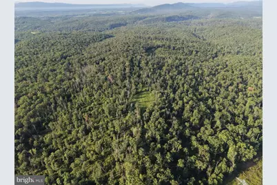 310.87+/- Acres Off Laurel Grove Road, Winchester, VA 22602 - Photo 62