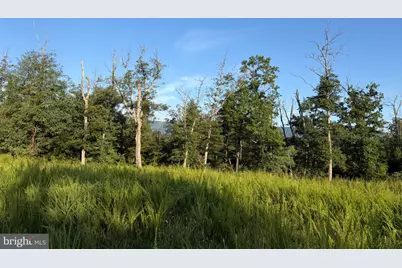 310.87+/- Acres Off Laurel Grove Road, Winchester, VA 22602 - Photo 86