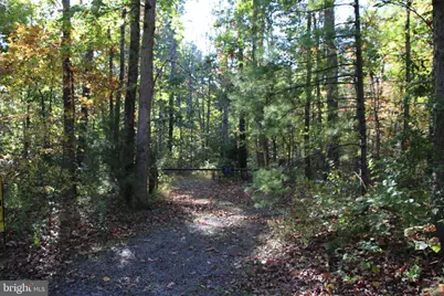 Wardensville Grade, Star Tannery, VA 22654 - Photo 12