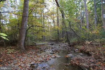 Wardensville Grade, Star Tannery, VA 22654 - Photo 1