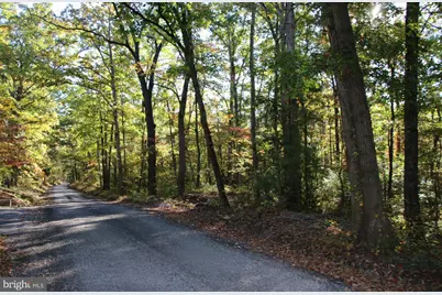 Wardensville Grade, Star Tannery, VA 22654 - Photo 2