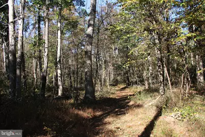 Wardensville Grade, Star Tannery, VA 22654 - Photo 38