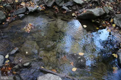 Wardensville Grade, Star Tannery, VA 22654 - Photo 30