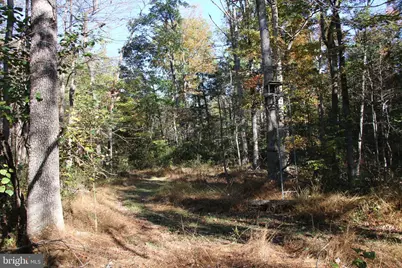 Wardensville Grade, Star Tannery, VA 22654 - Photo 10