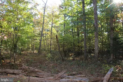 Wardensville Grade, Star Tannery, VA 22654 - Photo 18