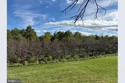 Lot 7 and 4035 Cedar Creek Grade, Winchester, VA 22602 - Photo 14