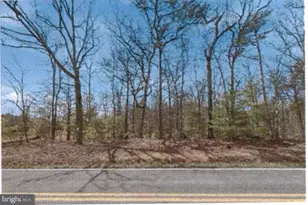16 F - Back Mountain Rd, Winchester, VA 22602 - Photo 1