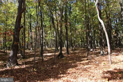 Capon Springs Grade, Star Tannery, VA 22654 - Photo 22