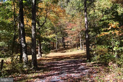 Capon Springs Grade, Star Tannery, VA 22654 - Photo 46
