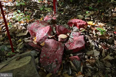 Capon Springs Grade, Star Tannery, VA 22654 - Photo 24