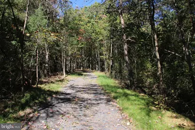 Capon Springs Grade, Star Tannery, VA 22654 - Photo 44