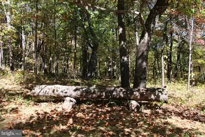 Capon Springs Grade, Star Tannery, VA 22654 - Photo 20