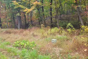 Lot 165 Hawk Trail, Winchester, VA 22602 - Photo 1