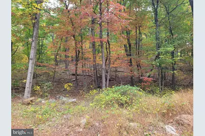 Lot 165 Hawk Trail, Winchester, VA 22602 - Photo 4
