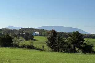 Lot 96 Buckton Road N, Middletown, VA 22645 - Photo 1