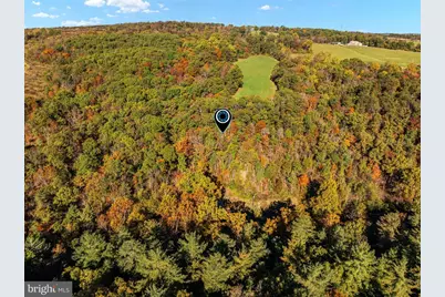322 Hollow Road, Gore, VA 22637 - Photo 48