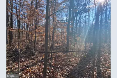 12609 Braddock Road, Fairfax, VA 22030 - Photo 10