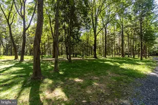 7979 E Boulevard Dr, Alexandria, VA 22308 - Photo 36