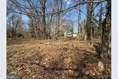 8119 Stacey Road, Alexandria, VA 22308 - Photo 8