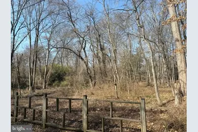 8119 Stacey Road, Alexandria, VA 22308 - Photo 14