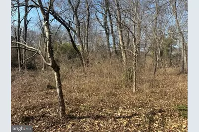 8119 Stacey Road, Alexandria, VA 22308 - Photo 6