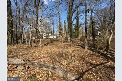 8123 Stacey Road, Alexandria, VA 22308 - Photo 10