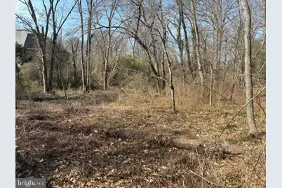 8126 Stacey Road, Alexandria, VA 22308 - Photo 4