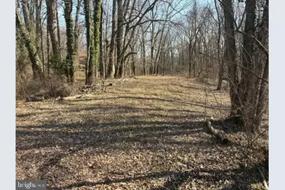 8126 Stacey Road, Alexandria, VA 22308 - Photo 2