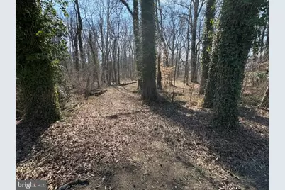 8126 Stacey Road, Alexandria, VA 22308 - Photo 10