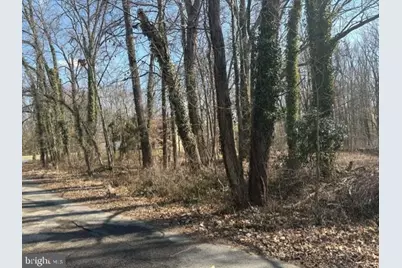 8127 Stacey Road, Alexandria, VA 22308 - Photo 16